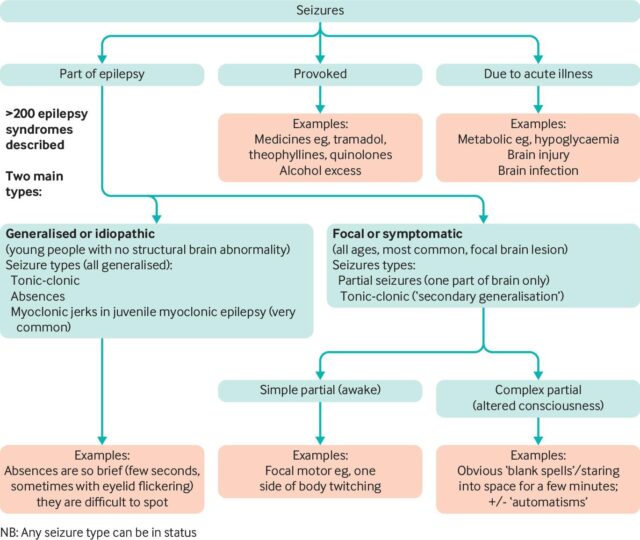 Tips For Medical Students