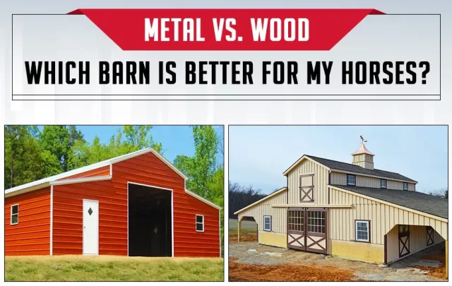 Wood vs. Metal